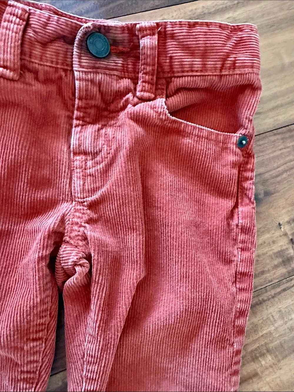 GAP Corduroy Pants in Terracotta